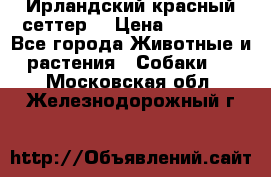 Ирландский красный сеттер. › Цена ­ 30 000 - Все города Животные и растения » Собаки   . Московская обл.,Железнодорожный г.